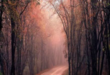 CBA第42轮积分排名!山东挤掉新疆,辽篮重回第5,季后赛名单出炉.