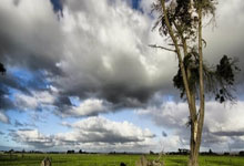 多多28:英超:埃弗顿4比0大胜狼队.